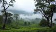 Exploring the Sacred Journey to Adam’s Peak and Beyond