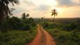 Exploring Ampara