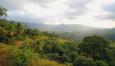 Discovering Deegawapi Chethiya