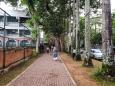 Pettah Bazaar: Colombo’s Vibrant Shopping Labyrinth
