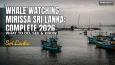 Whale Watching Mirissa Sri Lanka: Complete 2026 Guide
