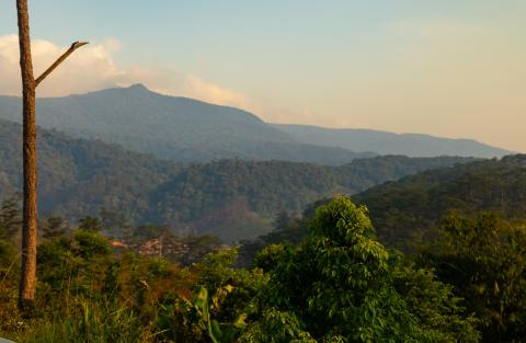 Exploring Sri Lanka’s Majestic Mountains and Peaks