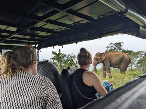 Yala National Park