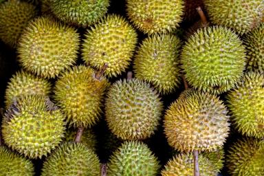 A Guide to Sri Lankan Fruits: Exotic Flavors