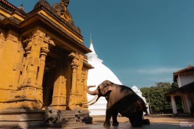 Kelaniya Raja Maha Viharaya visit guide