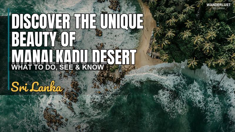 Discover the Unique Beauty of Manalkadu Desert