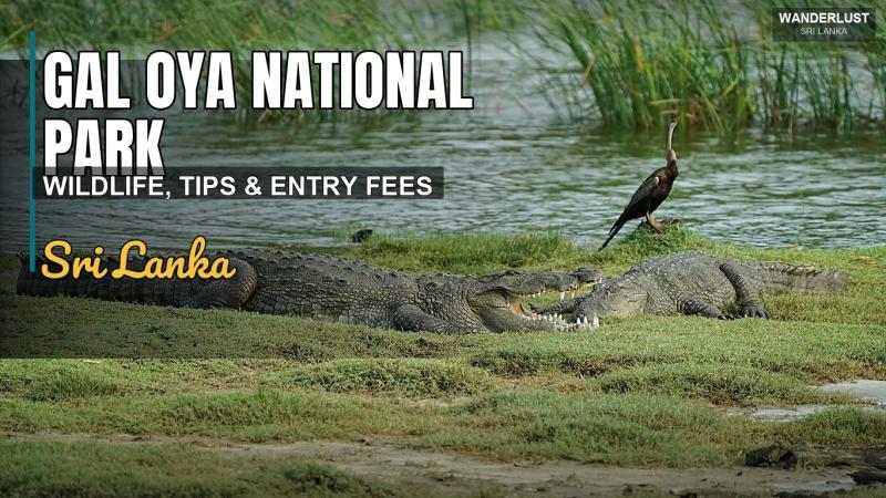 Gal Oya National Park