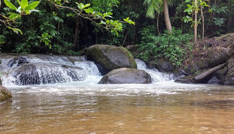 Bentota River Safari & Water Sports