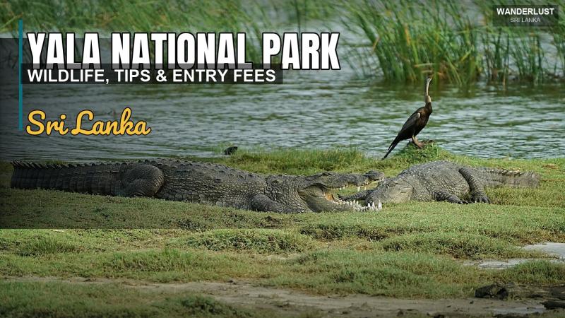 Yala-Nationalpark