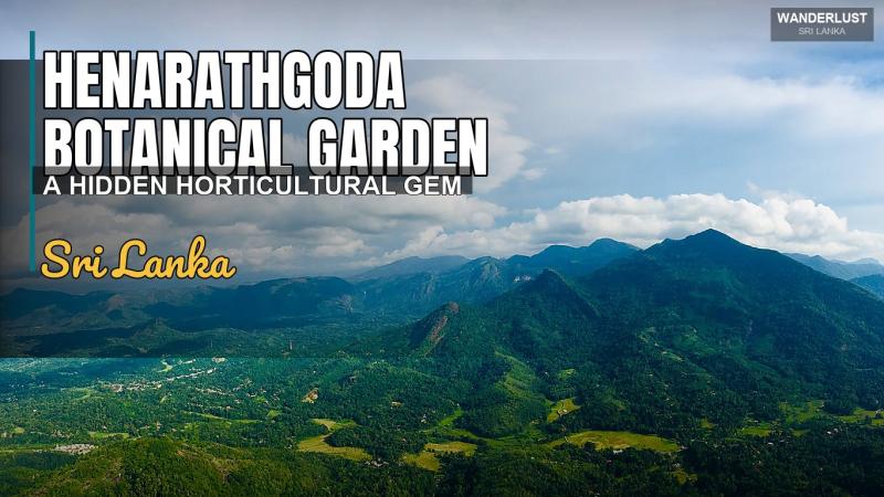 Giardino botanico di Henarathgoda: un gioiello orticolo nascosto