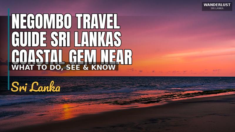 Guide de voyage de Negombo : la perle côtière du Sri Lanka près de l'aéroport