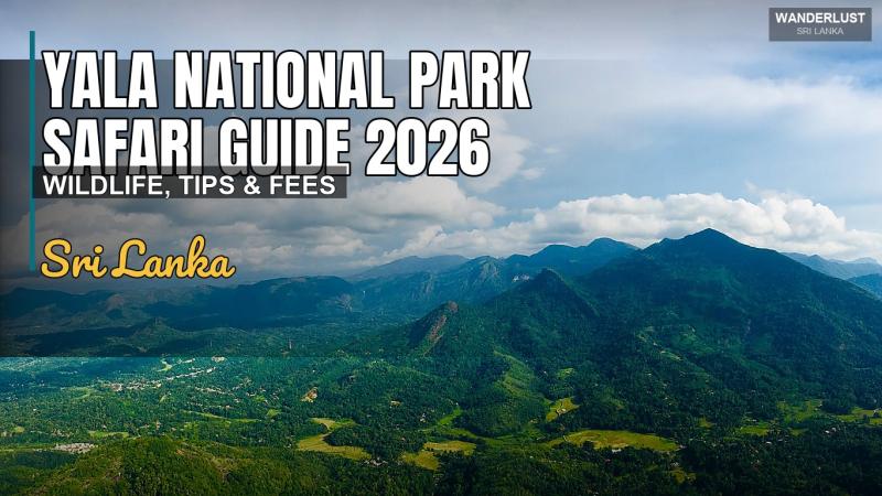 Guide Safari du Parc National de Yala 2026 : Faune Sauvage, Conseils et Tarifs