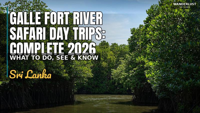 Galle Fort River Safari Day Trips: Complete 2026 Itinerary