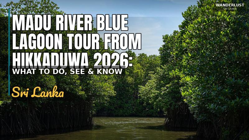 Madu River Blue Lagoon Tour from Hikkaduwa 2026: Complete Guide
