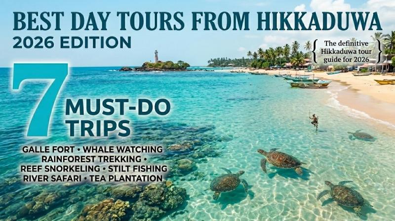 Best Day Tours from Hikkaduwa in 2026: 7 Must-Do Trips